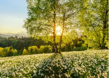 What is Your Sabbath?