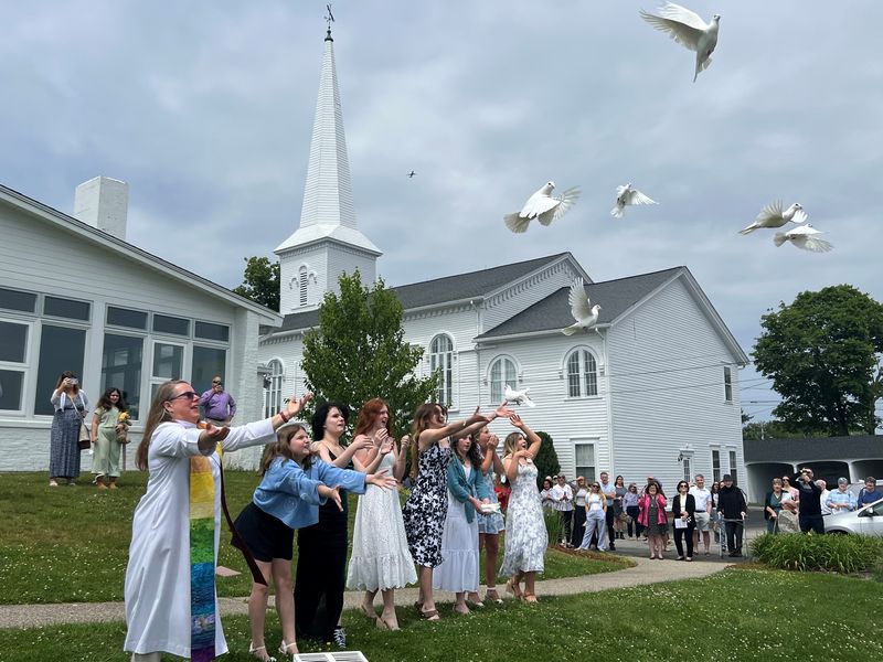 doves1